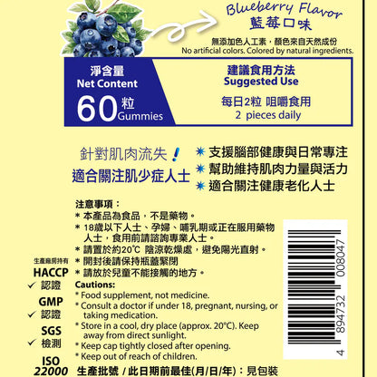 Creatine Sugar-Free Gummies (Blueberry Flavor)